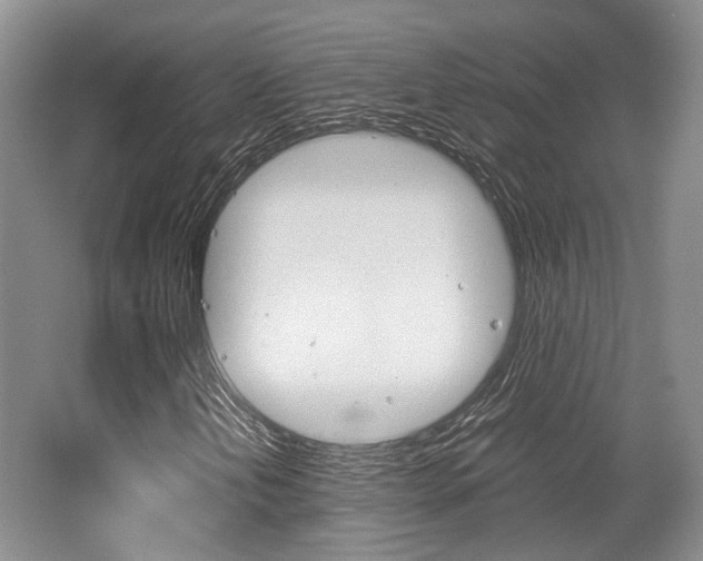 X0000062131202200512090942