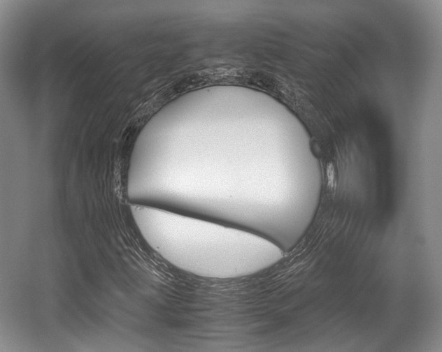 X0000062131203200512090942