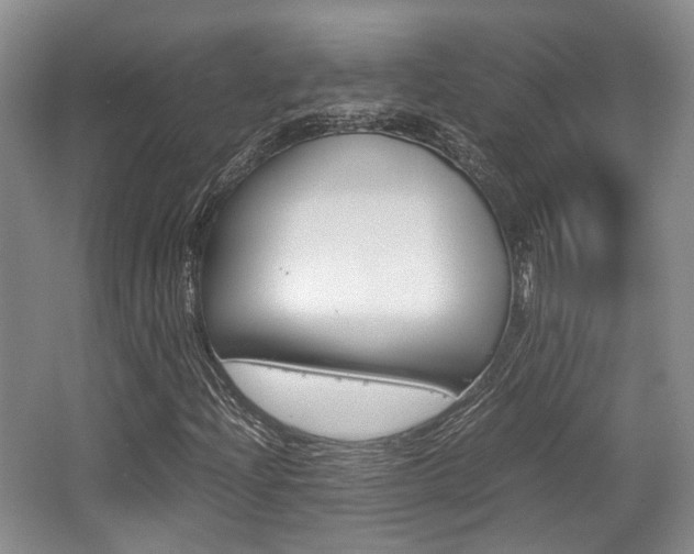 X0000062131204200512090942