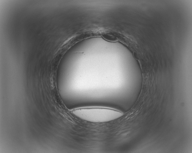 X0000062131205200512090942