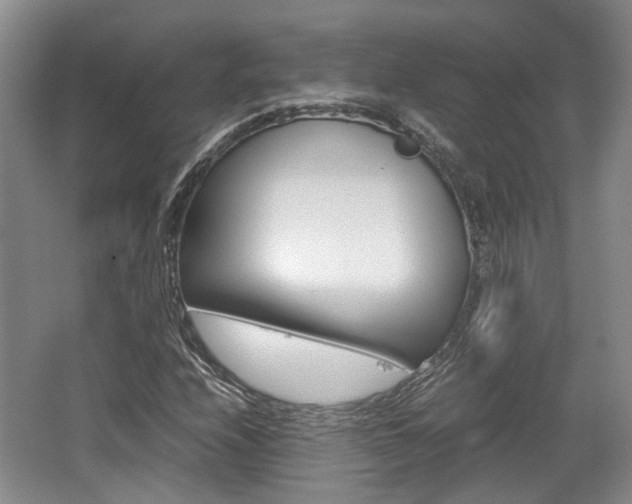 X0000062131208200512090942