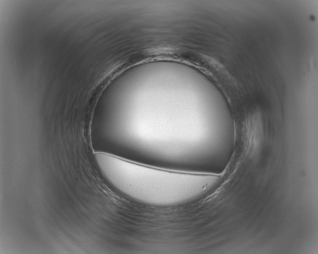 X0000062131209200512090942
