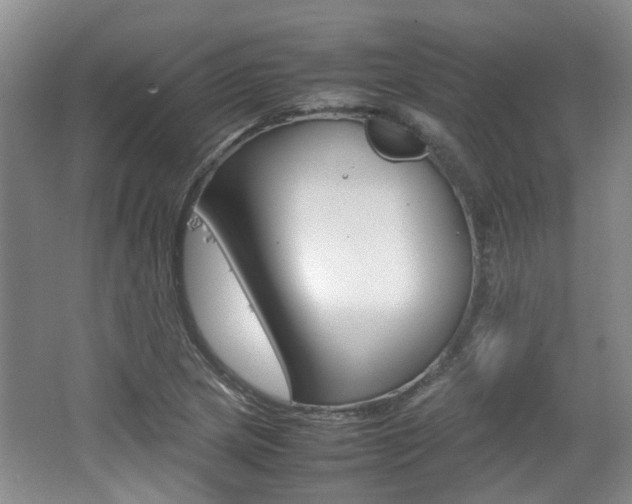 X0000062131217200512090942