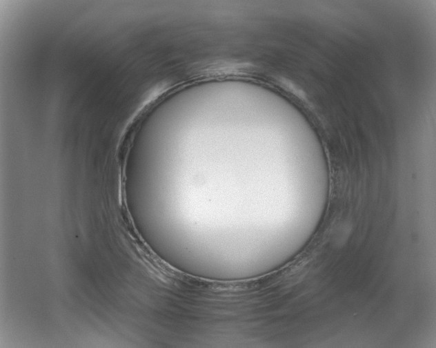 X0000062131219200512090942