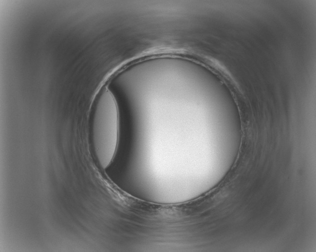 X0000062131220200512090942