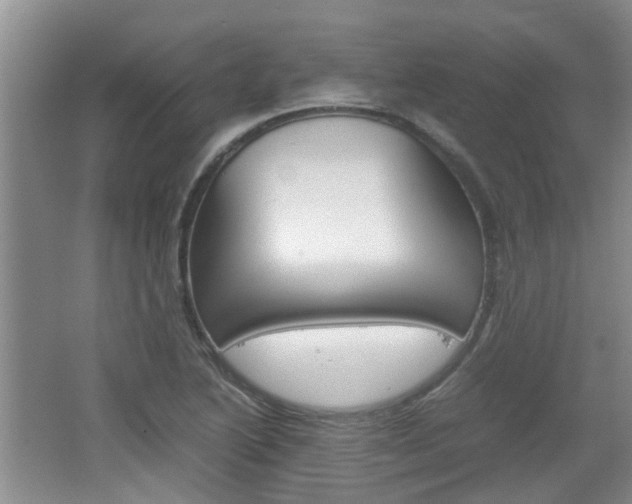 X0000062131222200512090942