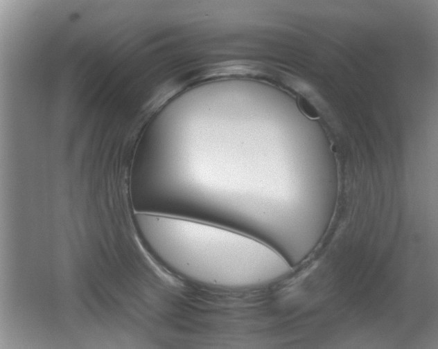 X0000062131233200512090942