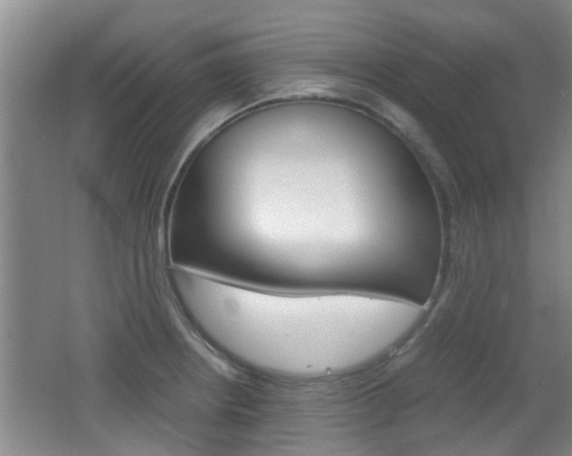 X0000062131234200512090942