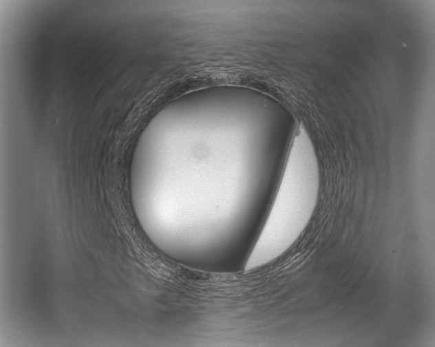 X0000062131249200512090942