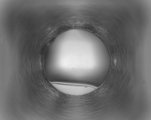 X0000062131252200512090942
