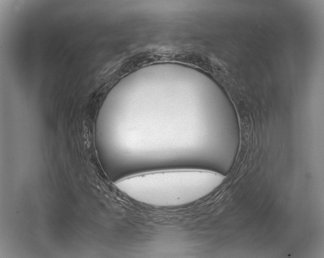 X0000062131253200512090942