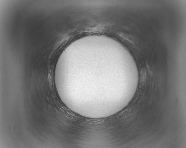 X0000062131254200512090942