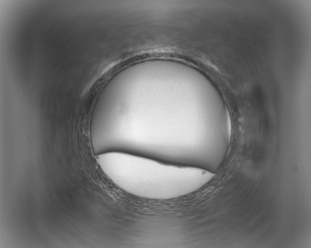 X0000062131255200512090941