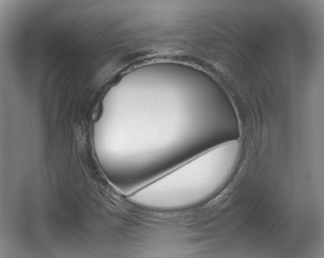 X0000062131257200512090941