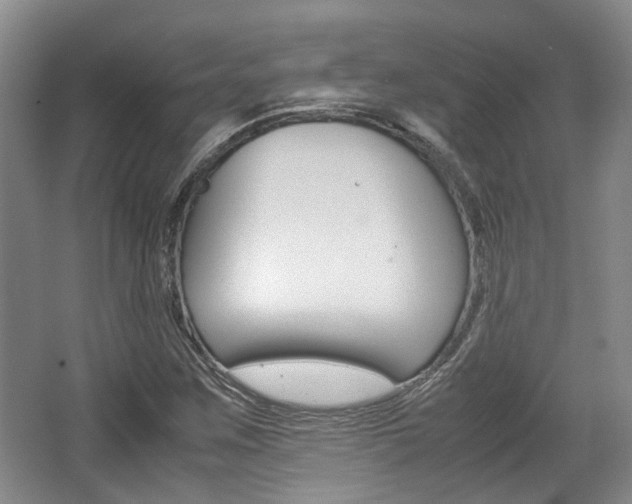 X0000062131259200512090941