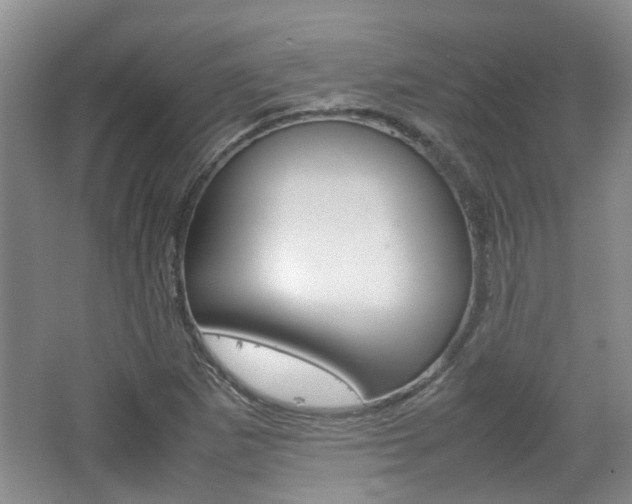 X0000062131265200512090941