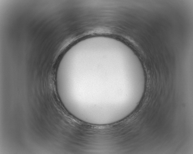 X0000062131266200512090941