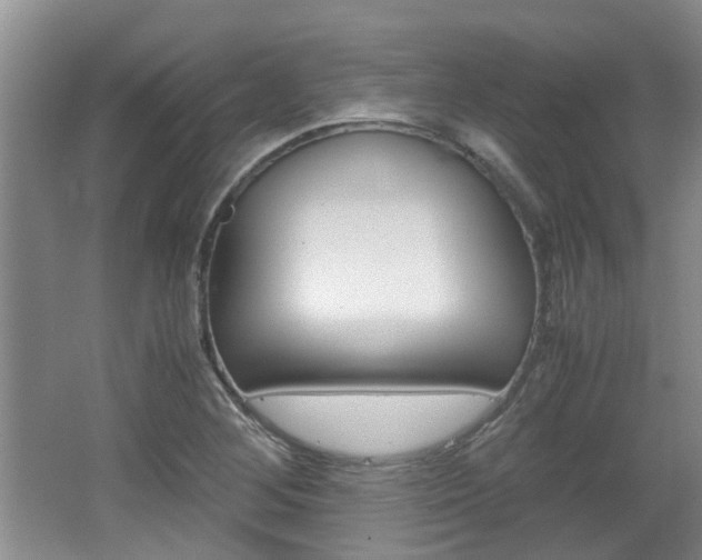 X0000062131268200512090941