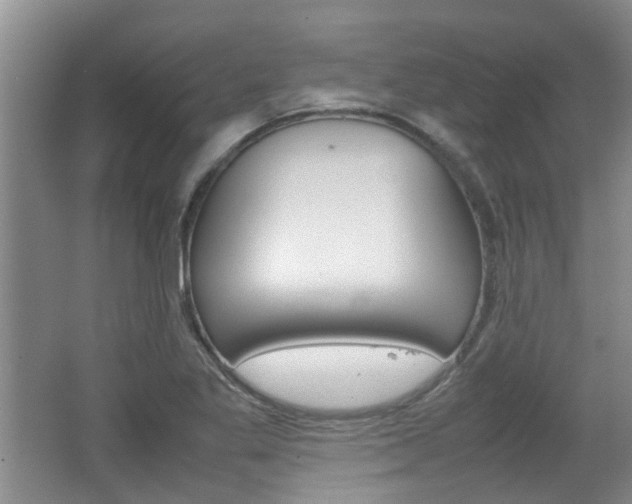 X0000062131269200512090941