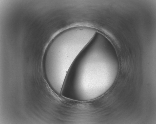 X0000062131272200512090941