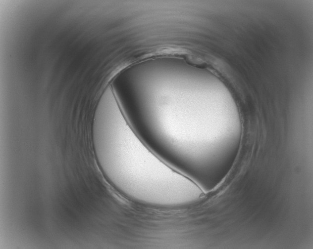 X0000062131281200512090941
