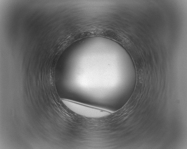 X0000062131298200512090940