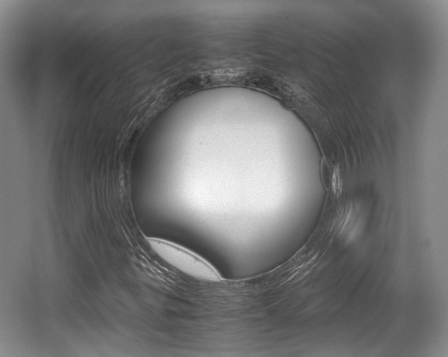 X0000062131299200512090940