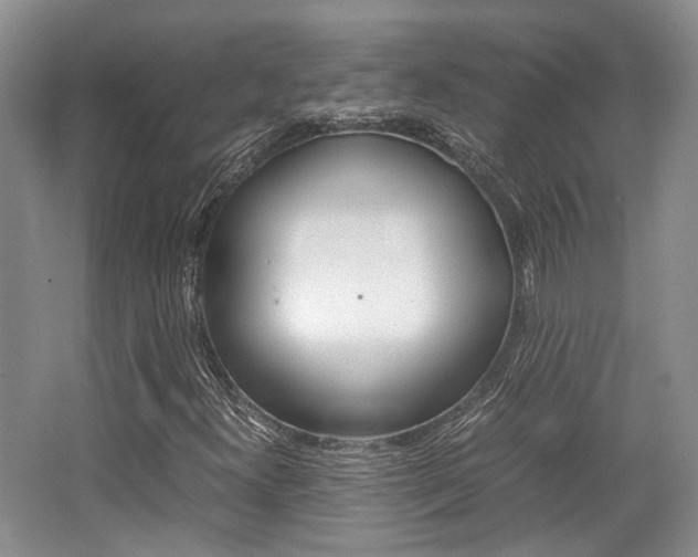 X0000062131300200512090940