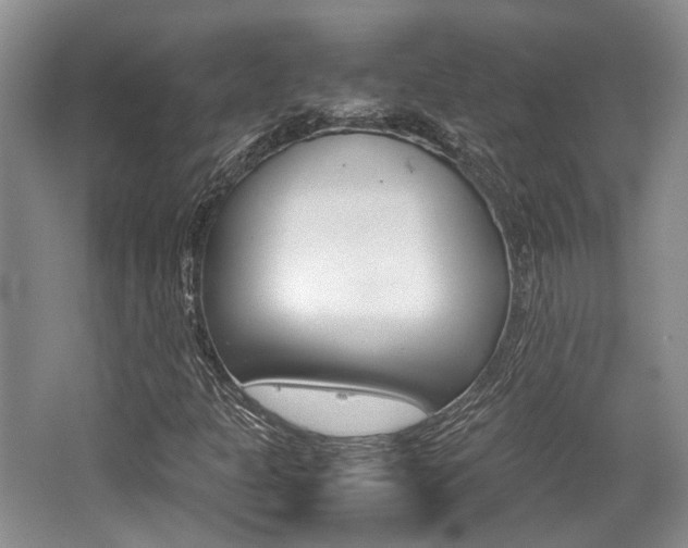 X0000062131301200512090940