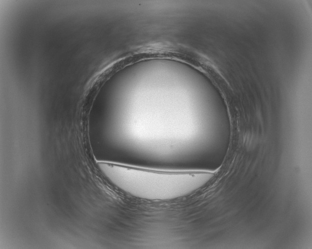 X0000062131304200512090940
