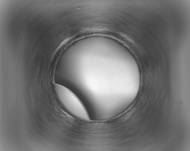 X0000062131306200512090940