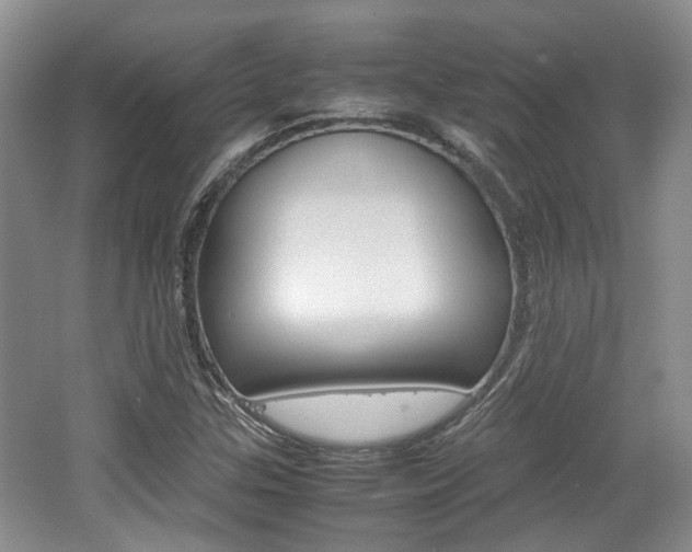 X0000062131307200512090940