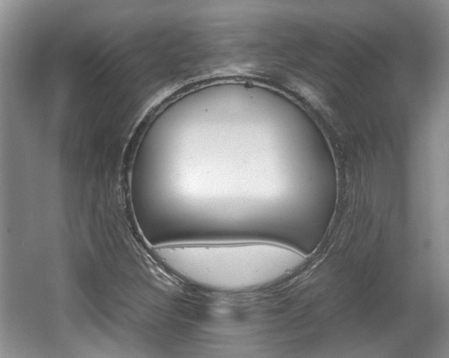 X0000062131308200512090940