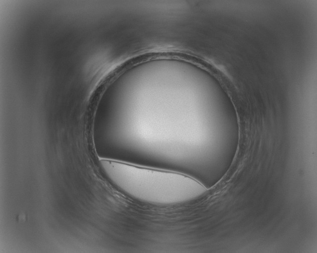 X0000062131311200512090940
