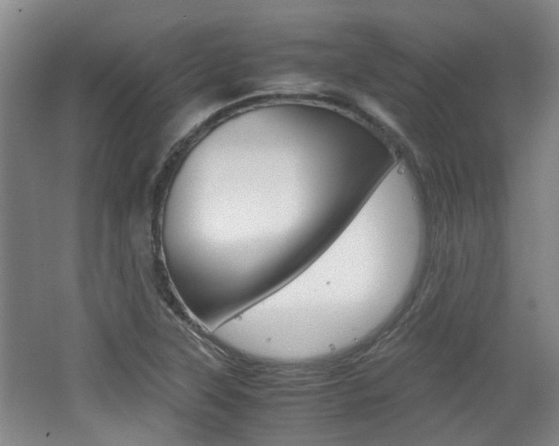X0000062131315200512090940
