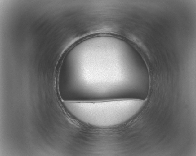 X0000062131316200512090940