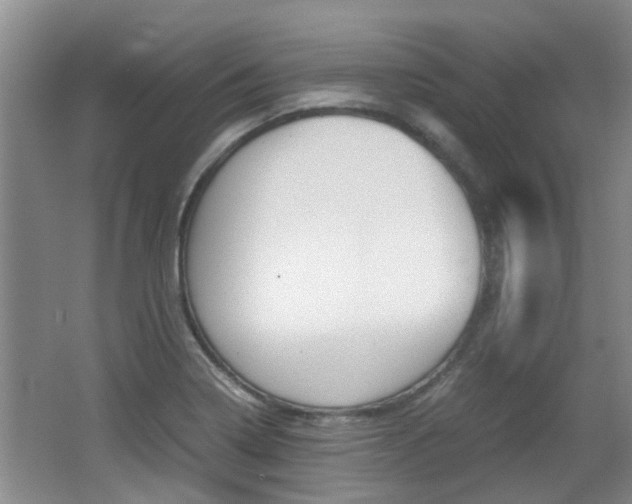 X0000062131322200512090940