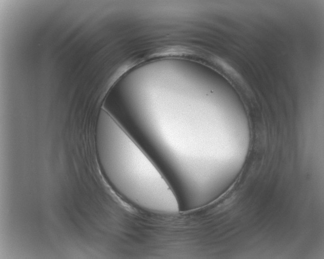 X0000062131329200512090941