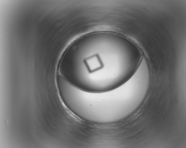X0000062131342200512090941