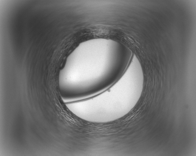 X0000062131345200512090940
