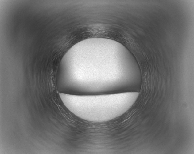 X0000062131346200512090940