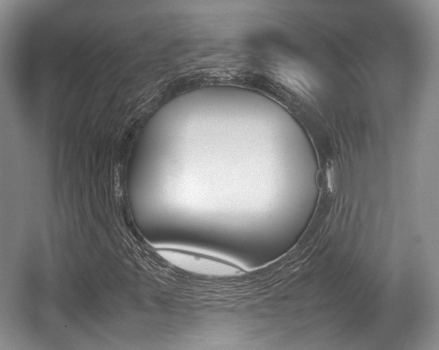 X0000062131347200512090940