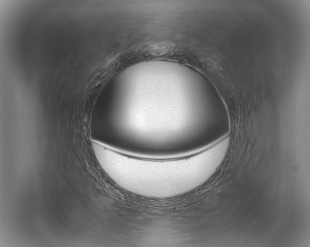 X0000062131349200512090940