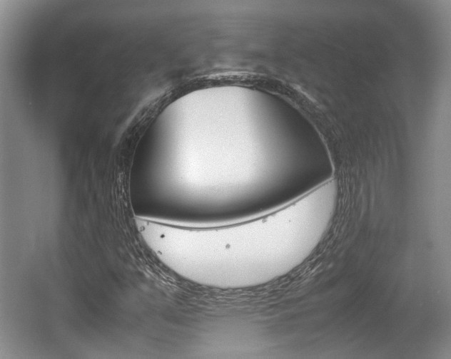 X0000062131351200512090940