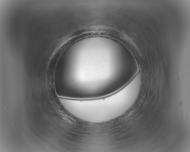 X0000062131352200512090940