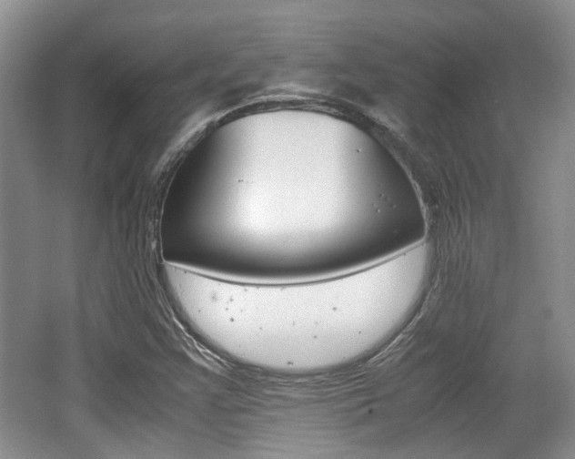 X0000062131355200512090940