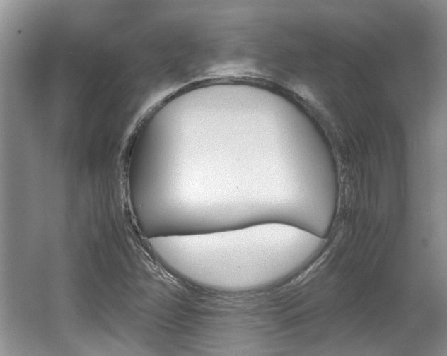 X0000062131358200512090940