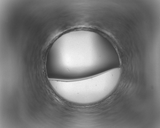 X0000062131359200512090940