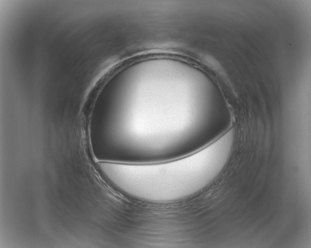 X0000062131360200512090940