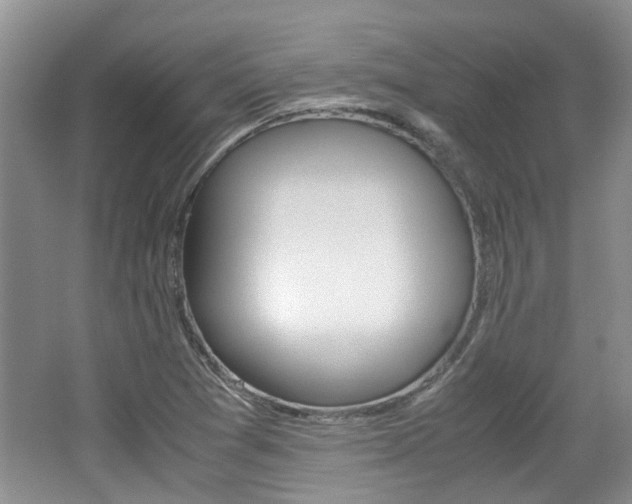 X0000062131361200512090940